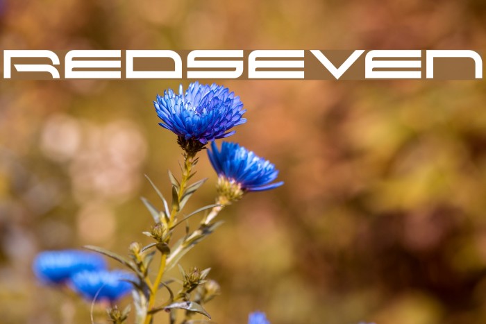 RedSeven Font examples