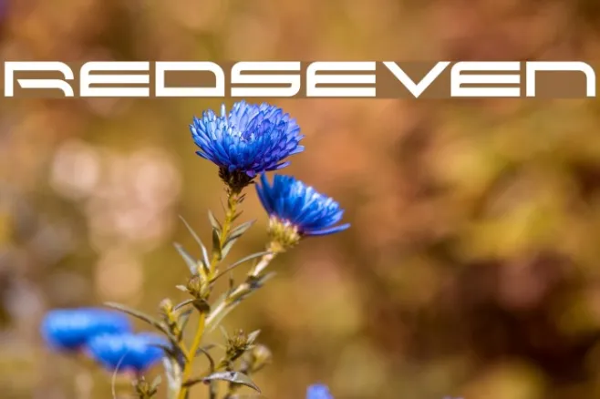 RedSeven Example 3