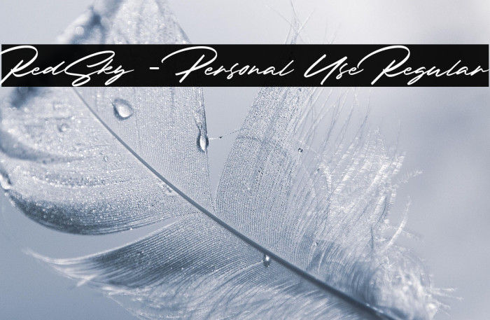 RedSky - Personal Use Regular Example 3