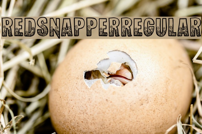 RedSnapper-Regular Font examples