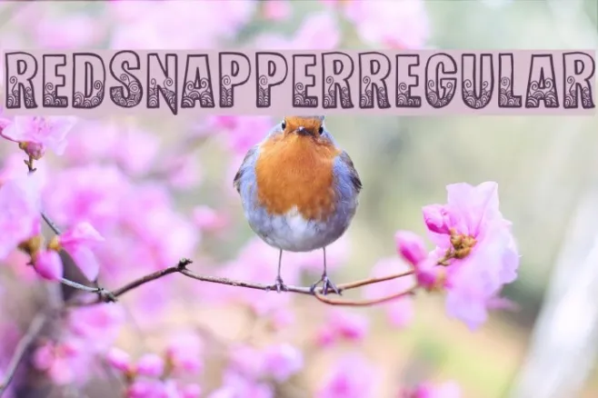 RedSnapper-Regular Example 3