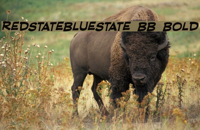 RedStateBlueState BB Bold Font examples