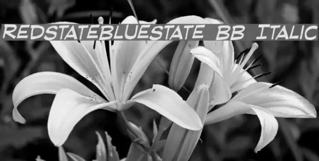 RedStateBlueState BB Italic Font examples