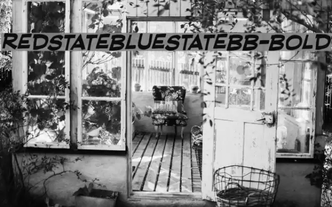 RedStateBlueStateBB-Bold Font examples