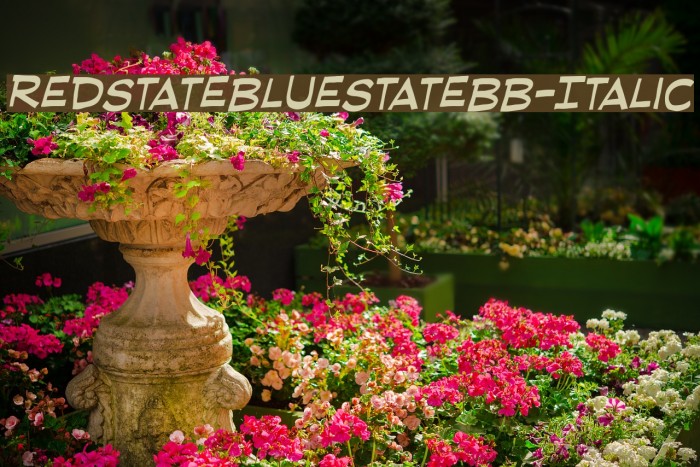 RedStateBlueStateBB-Italic Font examples