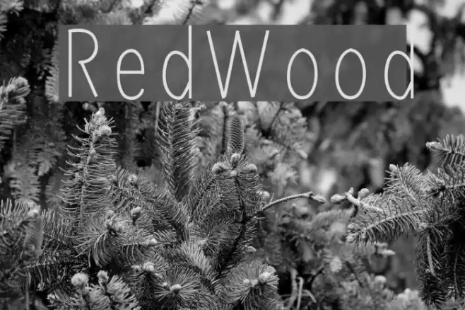 RedWood Font examples