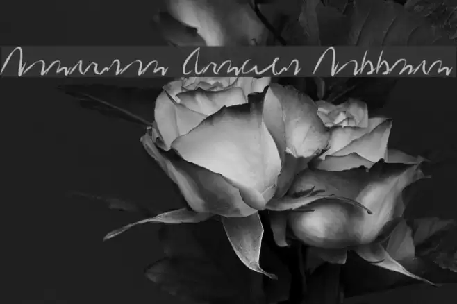 Redacted Script Regular Fuentes examples