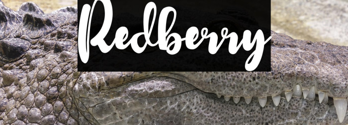 Redberry Example 2