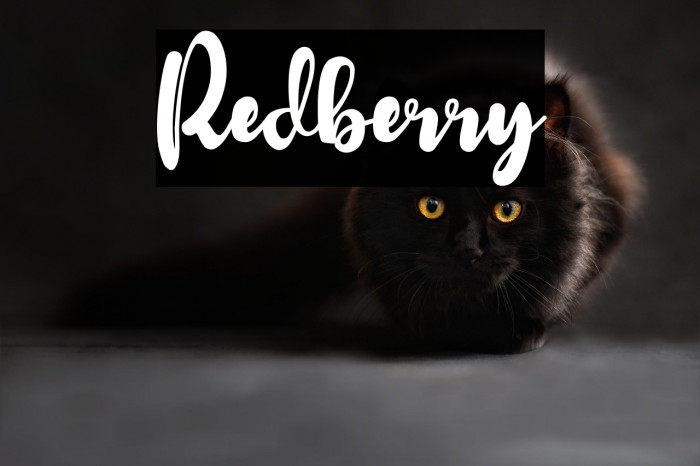 Redberry Example 3
