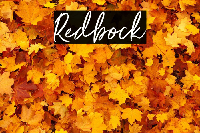 Redbock Example 1