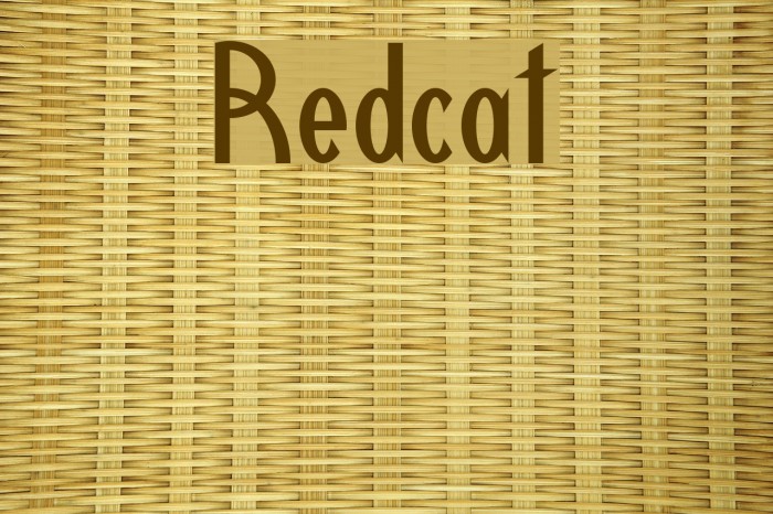 Redcat Example 1