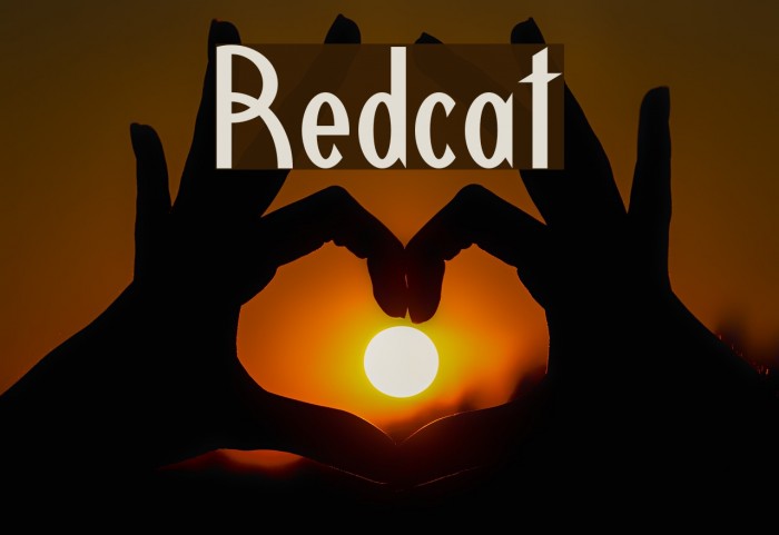Redcat Example 2