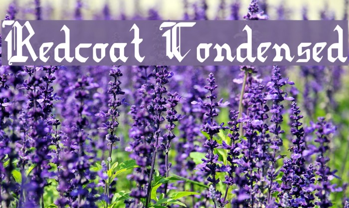 Redcoat Condensed Font examples