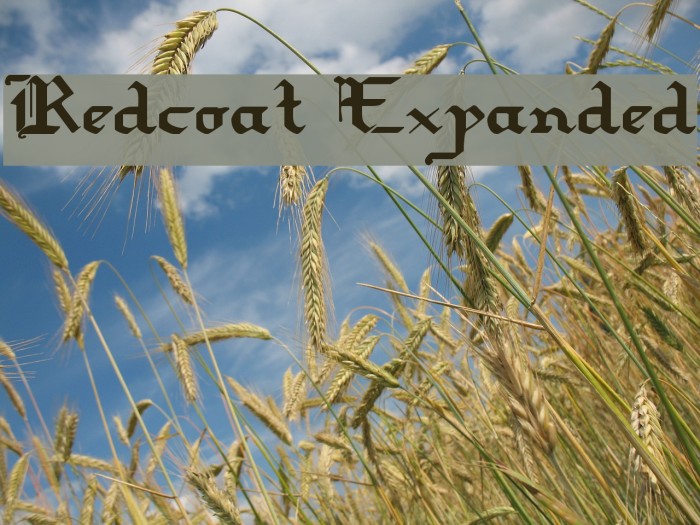 Redcoat Expanded Polices examples