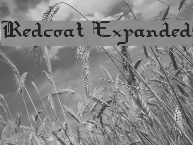 Redcoat Expanded フォント examples
