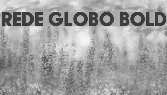 Rede Globo Bold Font examples