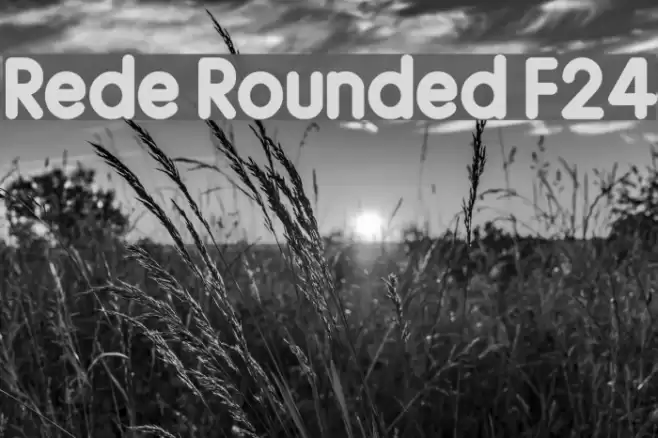 Rede Rounded F24 Fuentes examples