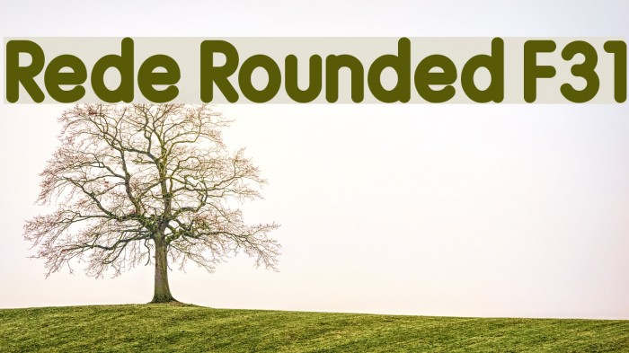 Rede Rounded F31 Font examples