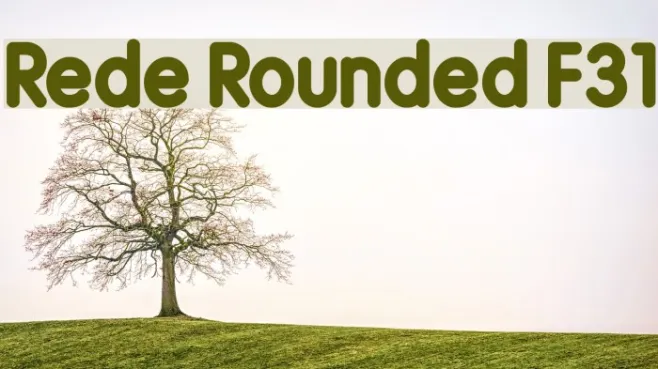 Rede Rounded F31 Example 2