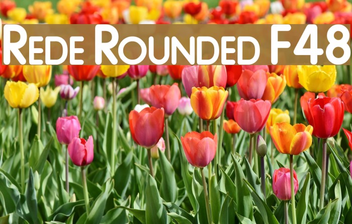 Rede Rounded F48 Font examples