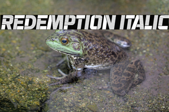 Redemption Italic Example 1