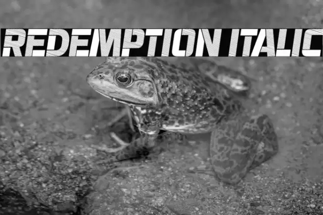 Redemption Italic Font examples