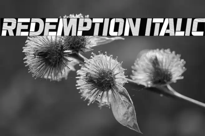 Redemption Italic Font examples