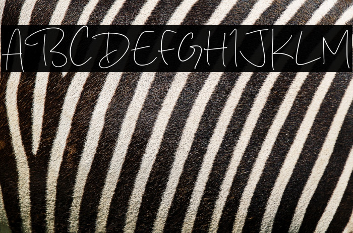 Redemption Light Example 2