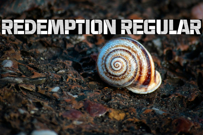 Redemption Regular Example 2