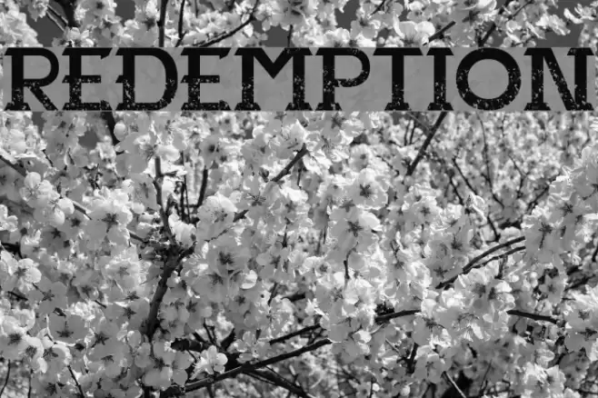 Redemption Font examples