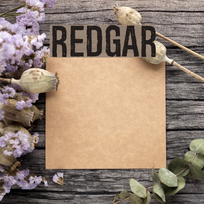 Redgar Fonte examples