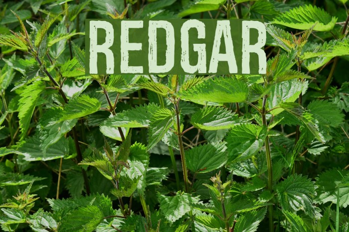 Redgar Fonte examples