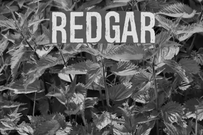 Redgar Font examples