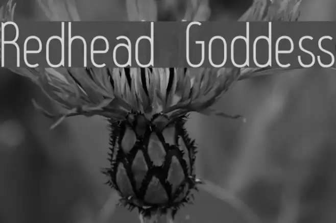 Redhead Goddess Font examples