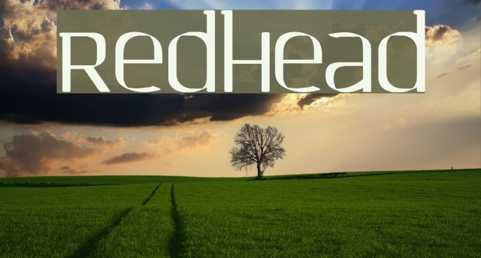 Redhead Example 1