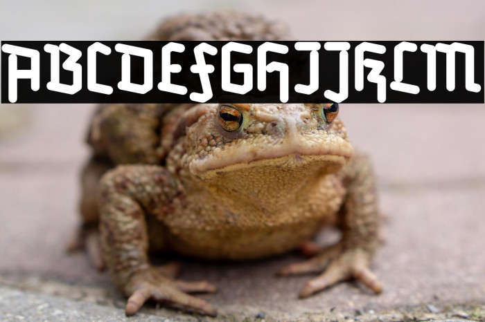 Redifraktur BETA Bold Example 3