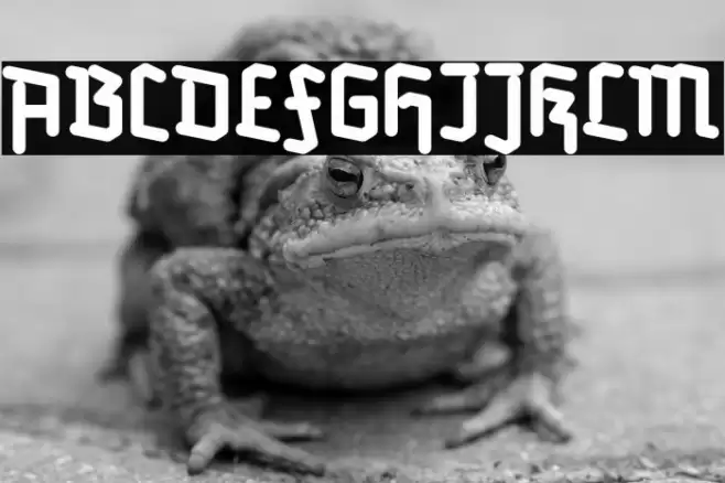 Redifraktur BETA Bold Font examples