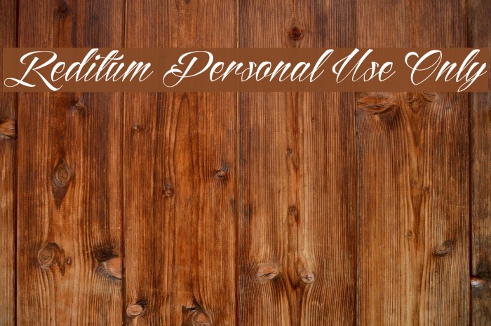 Reditum Personal Use Only Font examples