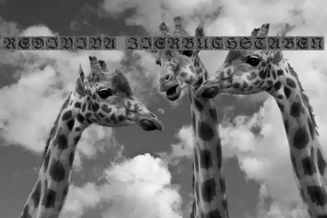 Rediviva Zierbuchstaben Font examples