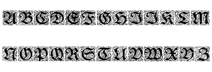 Rediviva Zierbuchstaben Font LOWERCASE