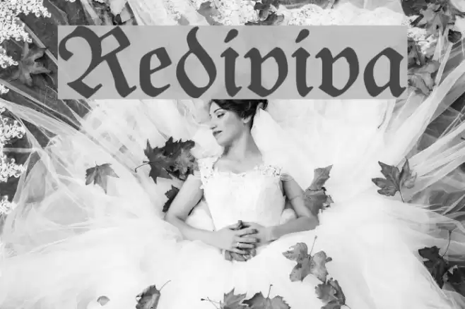 Rediviva Font examples