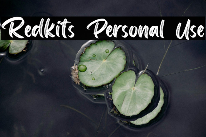 Redkits Personal Use Example 2