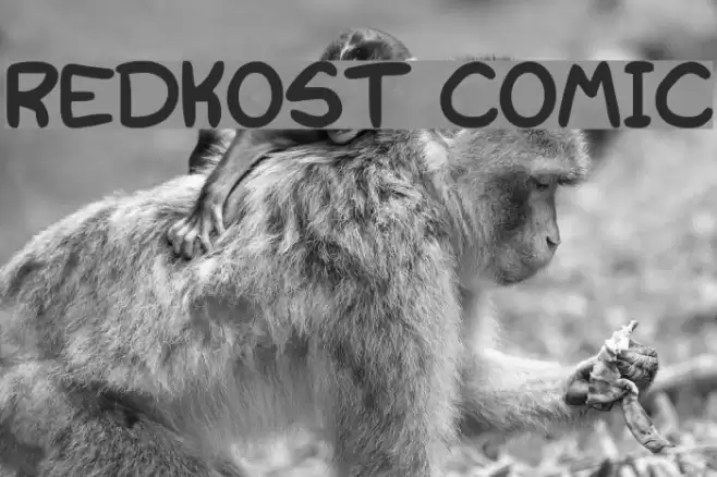 Redkost Comic Font examples