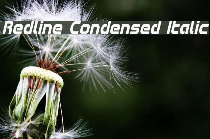 Redline Condensed Italic Font examples