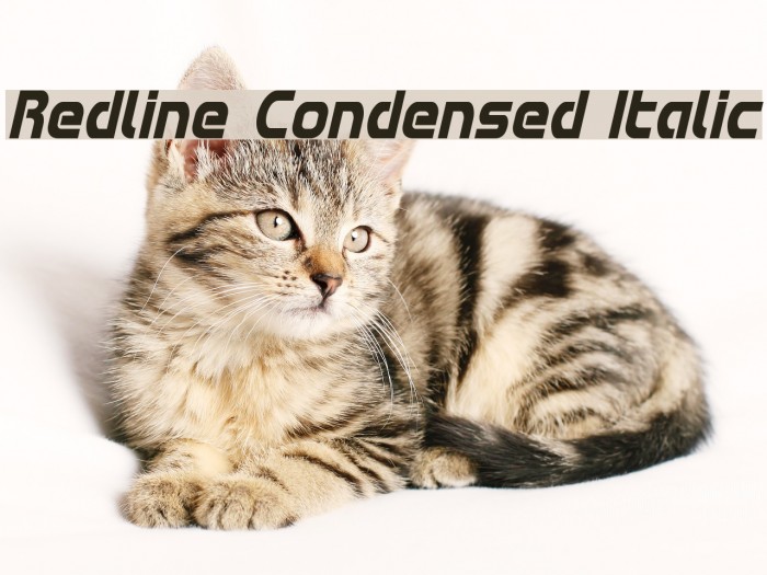 Redline Condensed Italic Font examples
