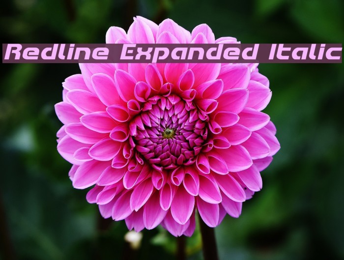 Redline Expanded Italic Font examples