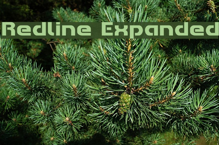 Redline Expanded Example 3