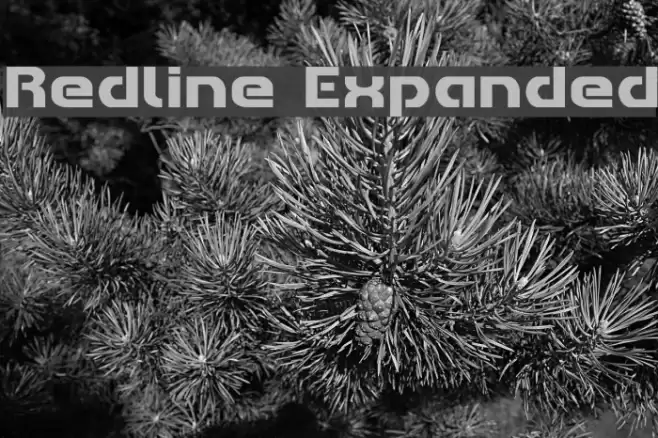 Redline Expanded Font examples