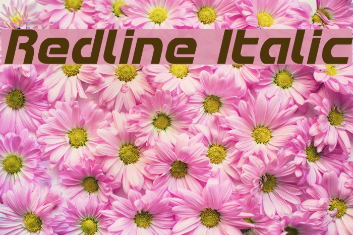 Redline Italic Font examples