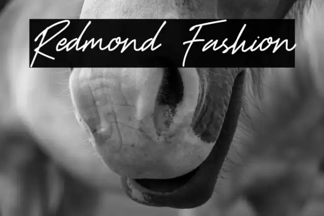 Redmond Fashion Font examples
